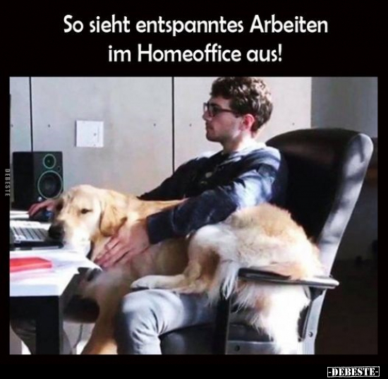 So sieht entspanntes Arbeiten im Homeoffice aus!.. - Lustige Bilder | DEBESTE.de