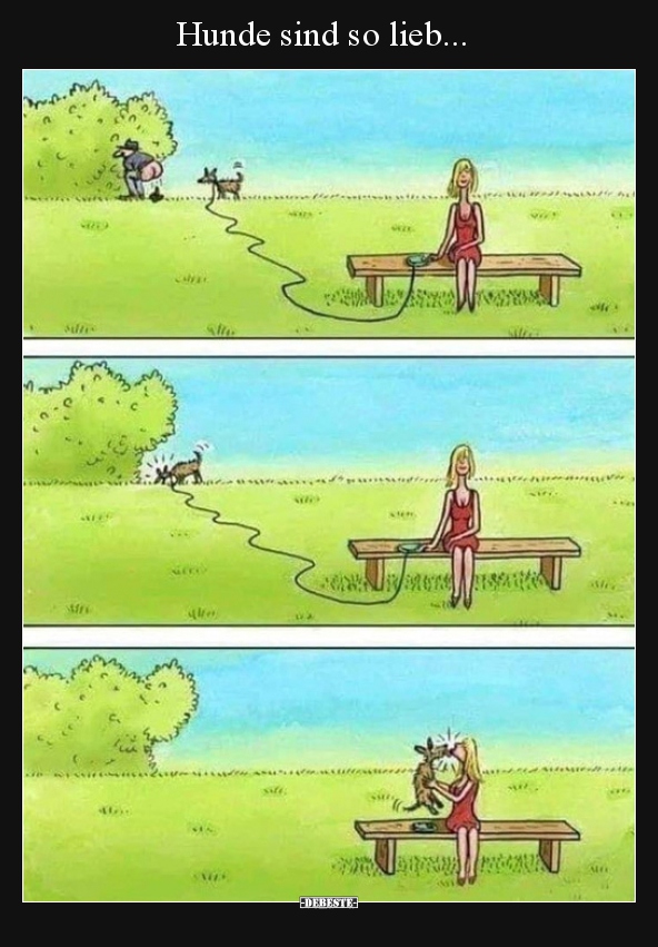 Hunde sind so lieb...