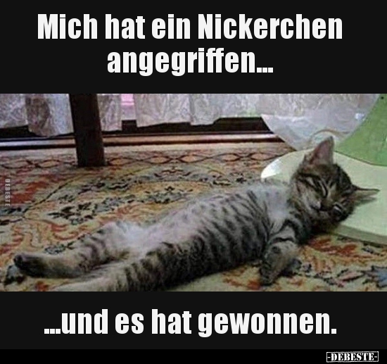 Mich hat ein Nickerchen angegriffen...