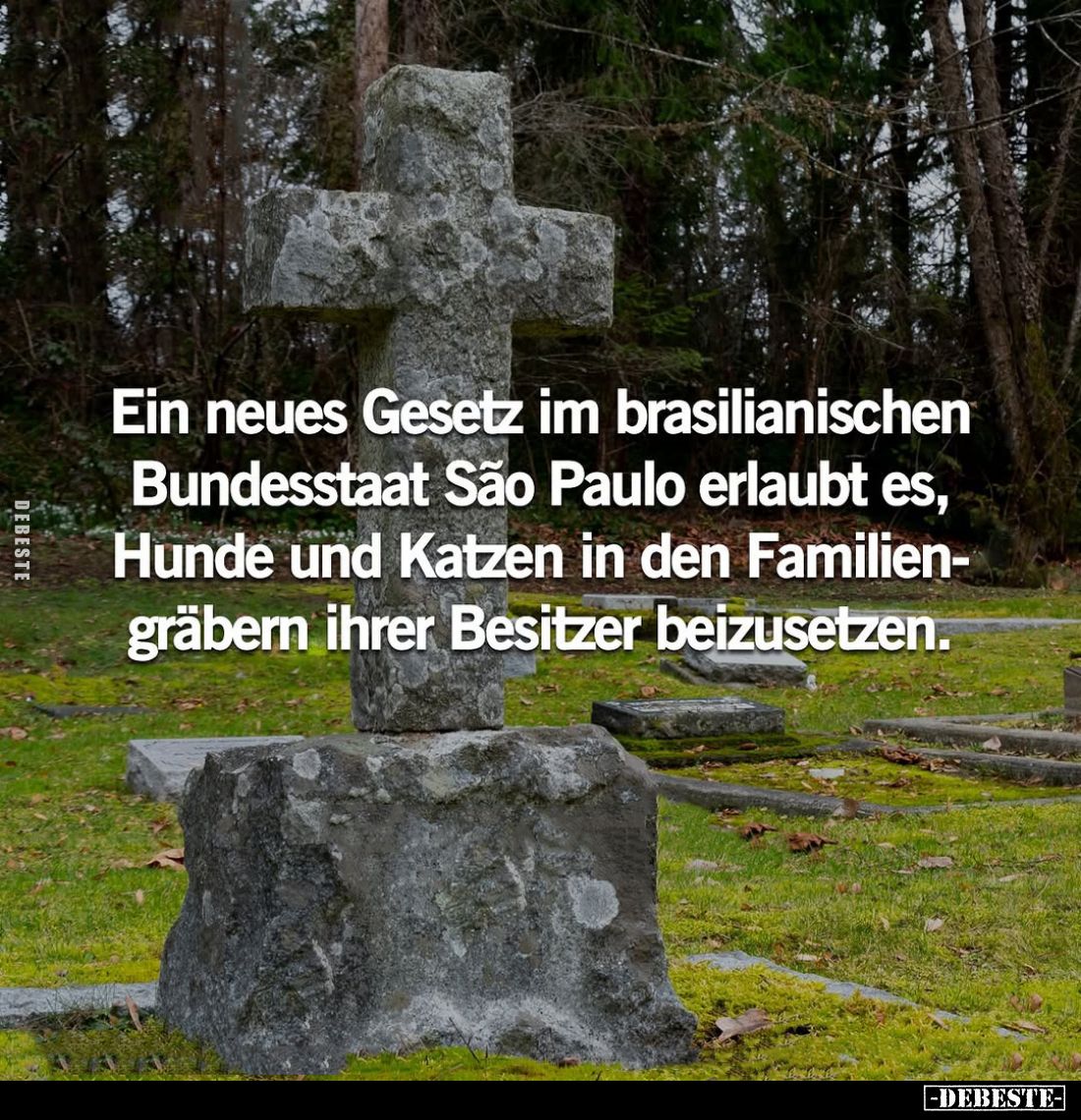 Ein neues Gesetz im brasilianischen Bundesstaat São Paulo erlaubt es, Hunde und Katzen in den Familiengräbern ihrer Besitzer ...