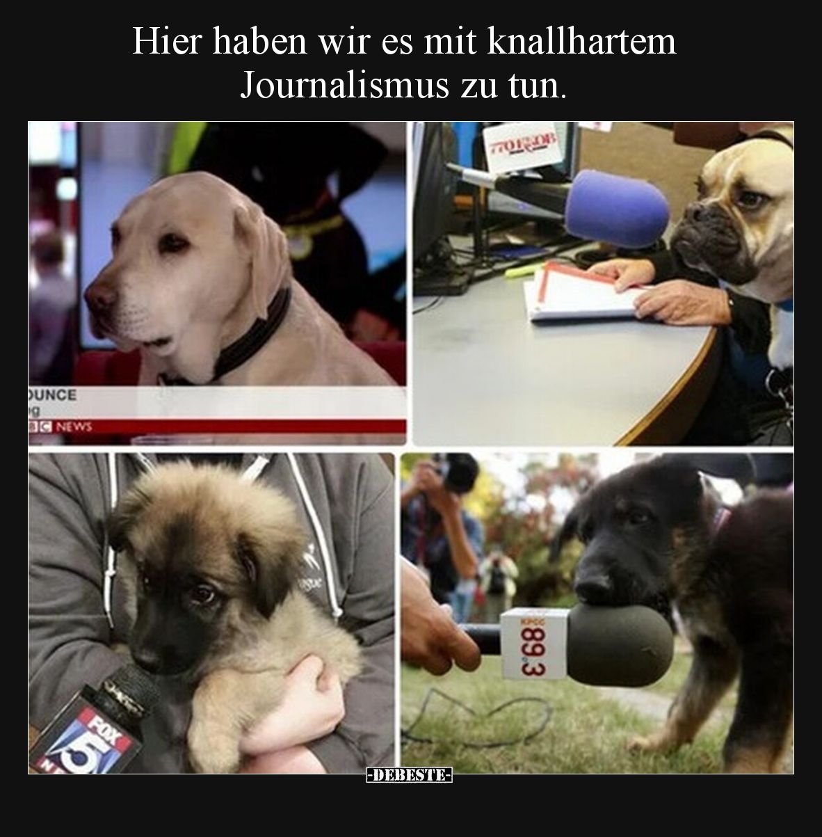 Hier haben wir es mit knallhartem Journalismus zu tun... - Lustige Bilder | DEBESTE.de