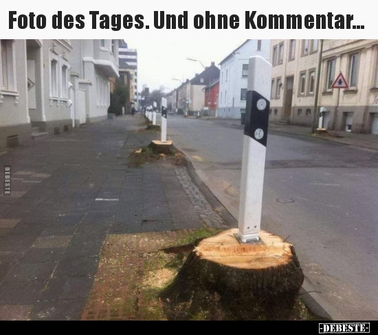 Foto des Tages. Und ohne Kommentar... - Lustige Bilder | DEBESTE.de