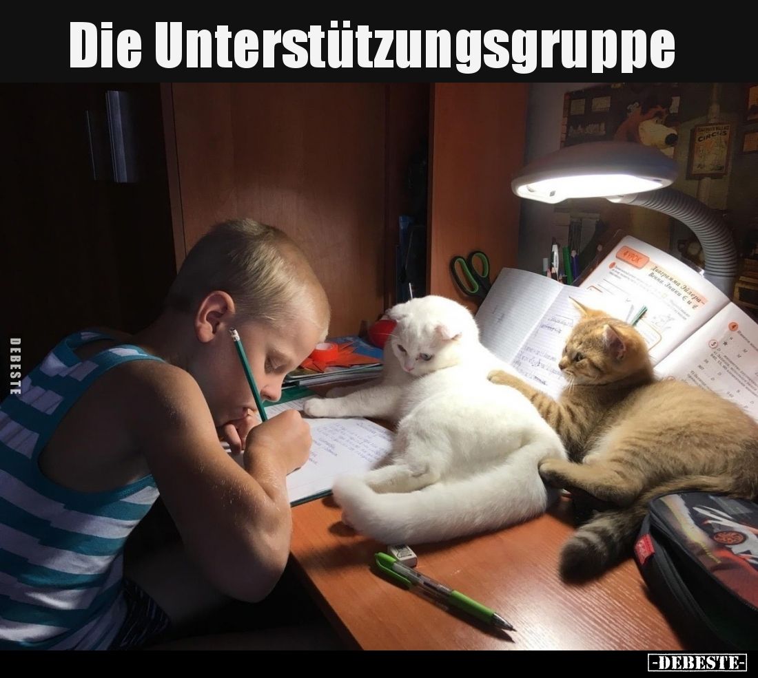 Die Unterstützungsgruppe