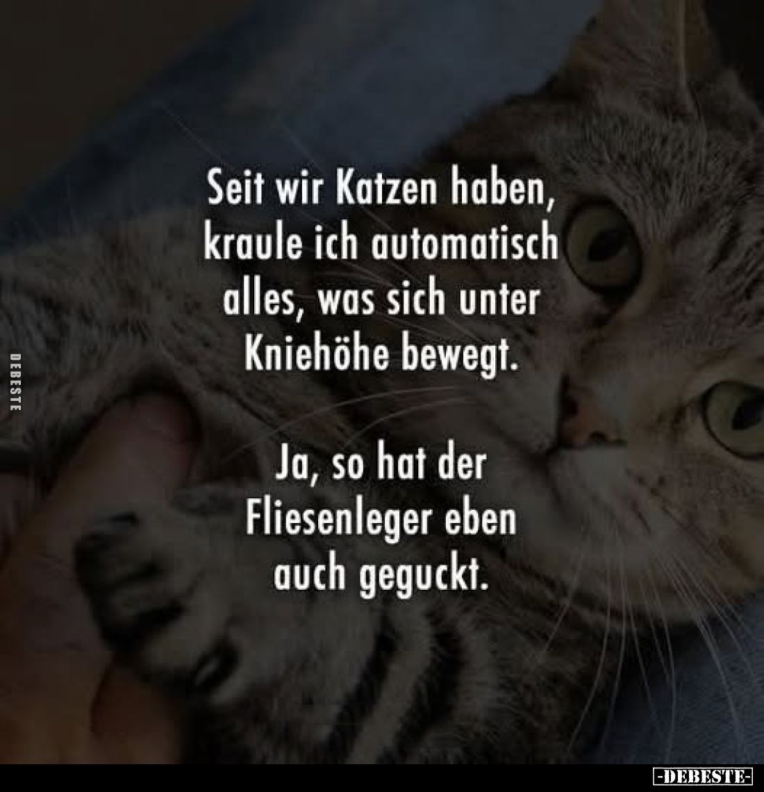 Seit wir Katzen haben, kraule ich automatisch alles, was sich unter Kniehöhe bewegt.
Ja, so hat der Fliesenleger eben auch g...