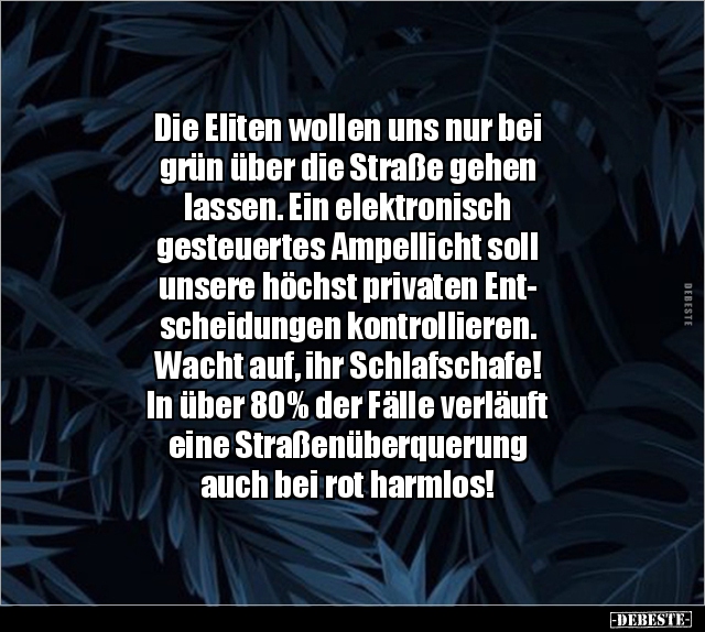 Die Eliten wollen uns nur bei grün über die Straße gehen.. - Lustige Bilder | DEBESTE.de