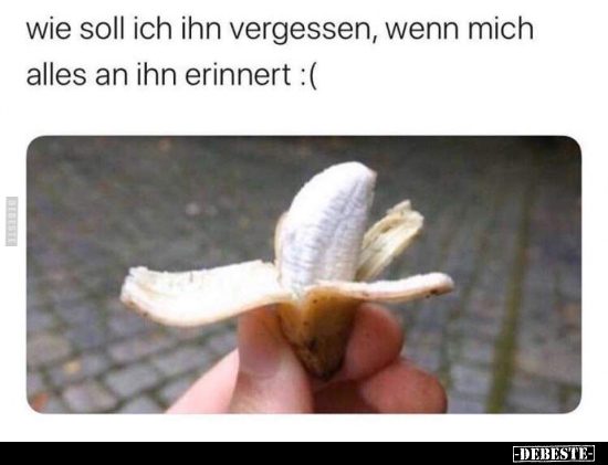 Lustige Bilder zum Thema: Essen, Vergessen