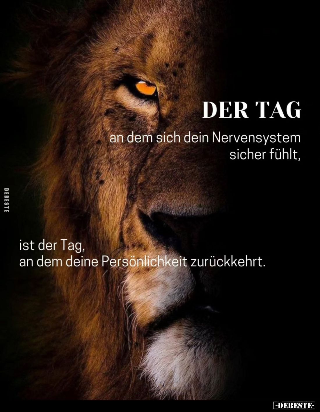 Der Tag an dem sich dein Nervensystem sicher fühlt,
ist der Tag, an dem deine Persönlichkeit zurückkehrt.