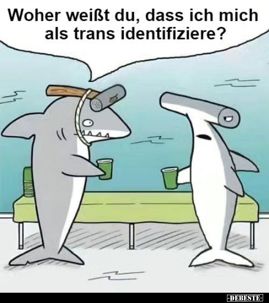 Woher weißt du, dass ich mich als Trans identifiziere?.. - Lustige Bilder | DEBESTE.de