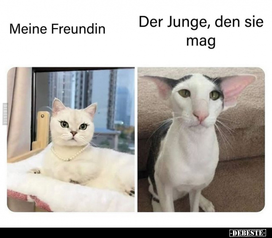 Meine Freundin. - Der Junge, den sie mag... - Lustige Bilder | DEBESTE.de