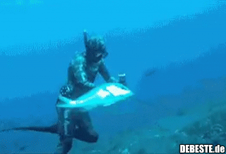 Mein Fisch..