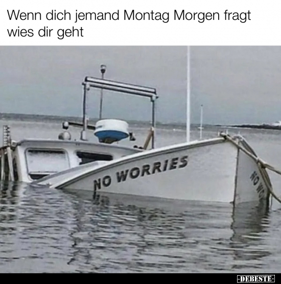 Wenn dich jemand Montag Morgen fragt wies dir geht.. - Lustige Bilder | DEBESTE.de