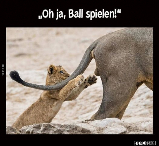 "Oh ja, Ball spielen!".. - Lustige Bilder | DEBESTE.de