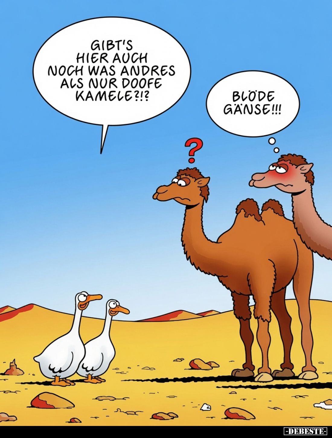 Gibt's hier auch noch was andres als nur doofe Kamele?!? -
Blöde Gänse!!!