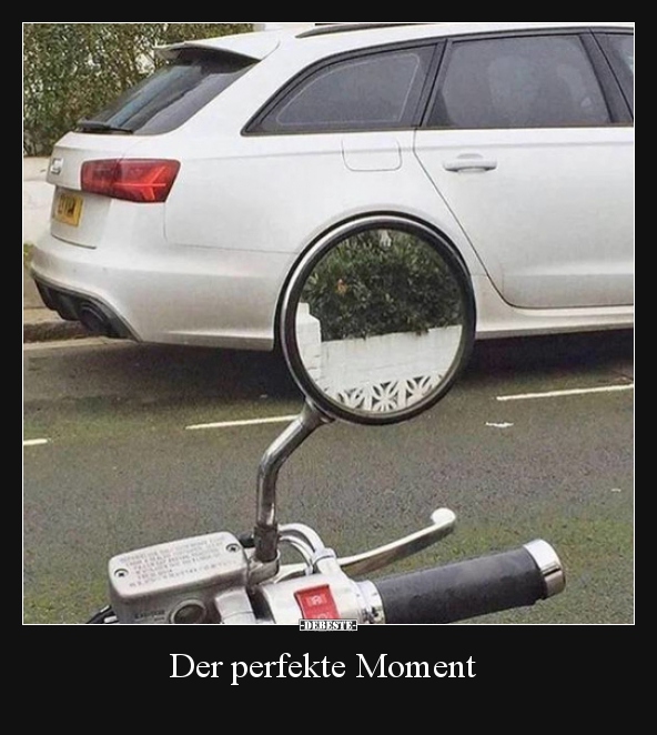 Der perfekte Moment..