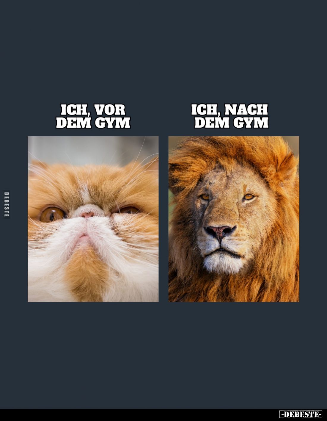 Ich, vor dem Gym. -
Ich, nach dem Gym.