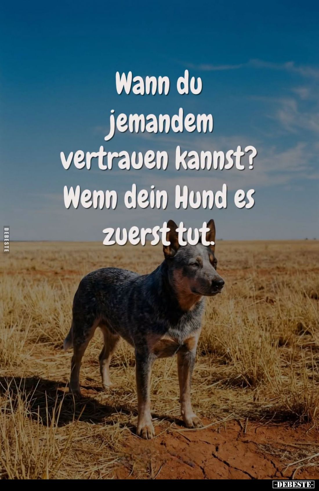 Wann du jemandem vertrauen kannst?
Wenn dein Hund es zuerst tut.
