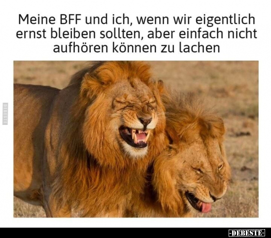 Meine BFF und ich, wenn wir eigentlich ernst bleiben.. - Lustige Bilder | DEBESTE.de