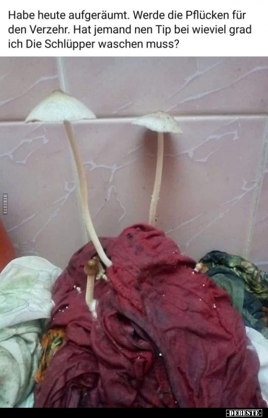 Habe heute aufgeräumt. Werde die Pflücken für den..