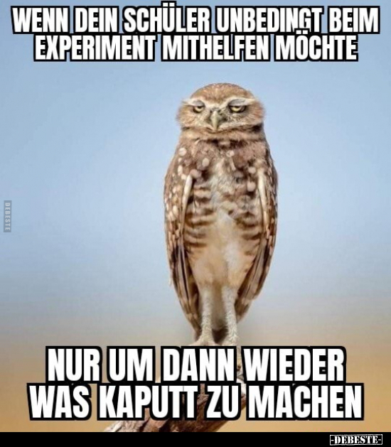 Wenn dein Schüler unbedingt beim Experiment mithelfen.. - Lustige Bilder | DEBESTE.de
