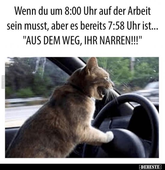 Wenn du um 8:00 Uhr auf der Arbeit sein musst, aber es.. - Lustige Bilder | DEBESTE.de