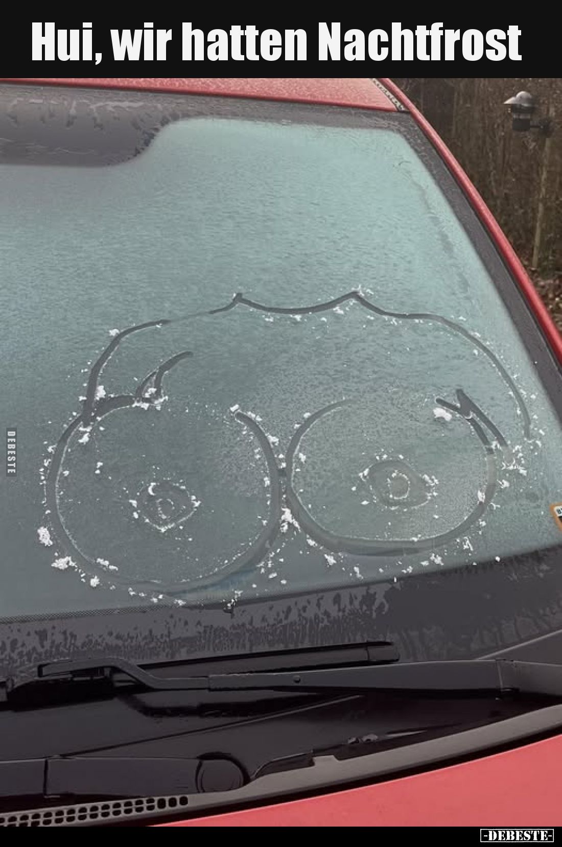 Hui, wir hatten Nachtfrost