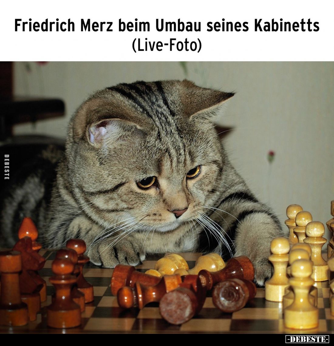 Friedrich Merz beim Umbau seines Kabinetts.