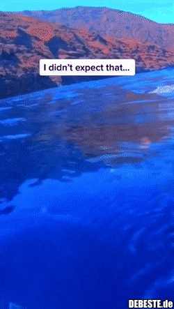  - Lustige Bilder | DEBESTE.de