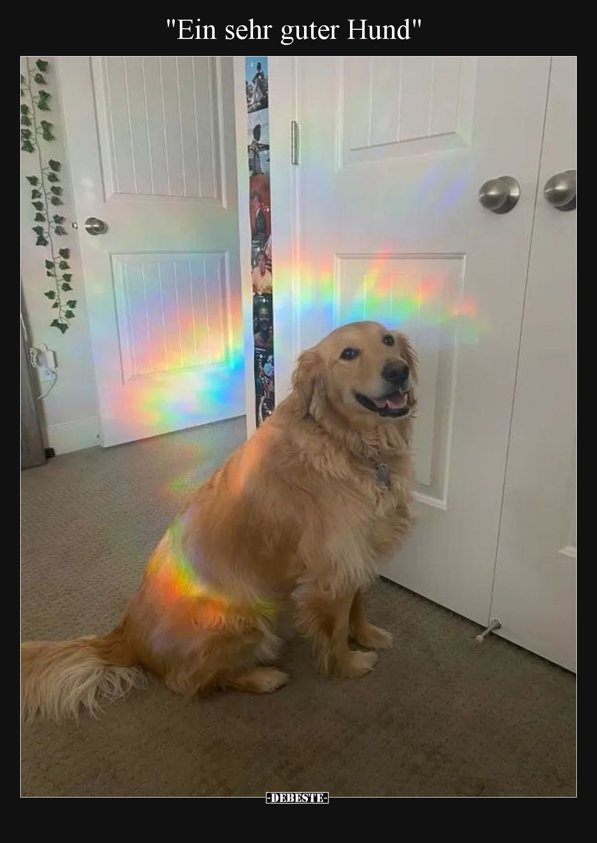 Ein sehr guter Hund