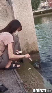 Fütterung von Schildkröten..