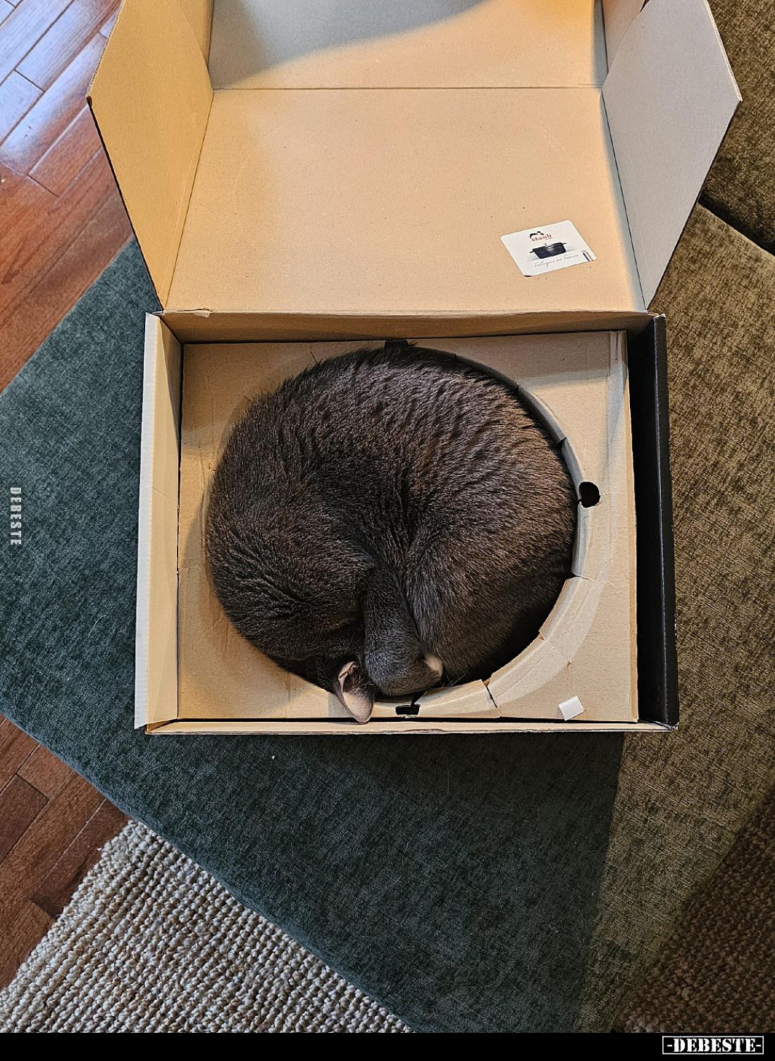  - Lustige Bilder | DEBESTE.de