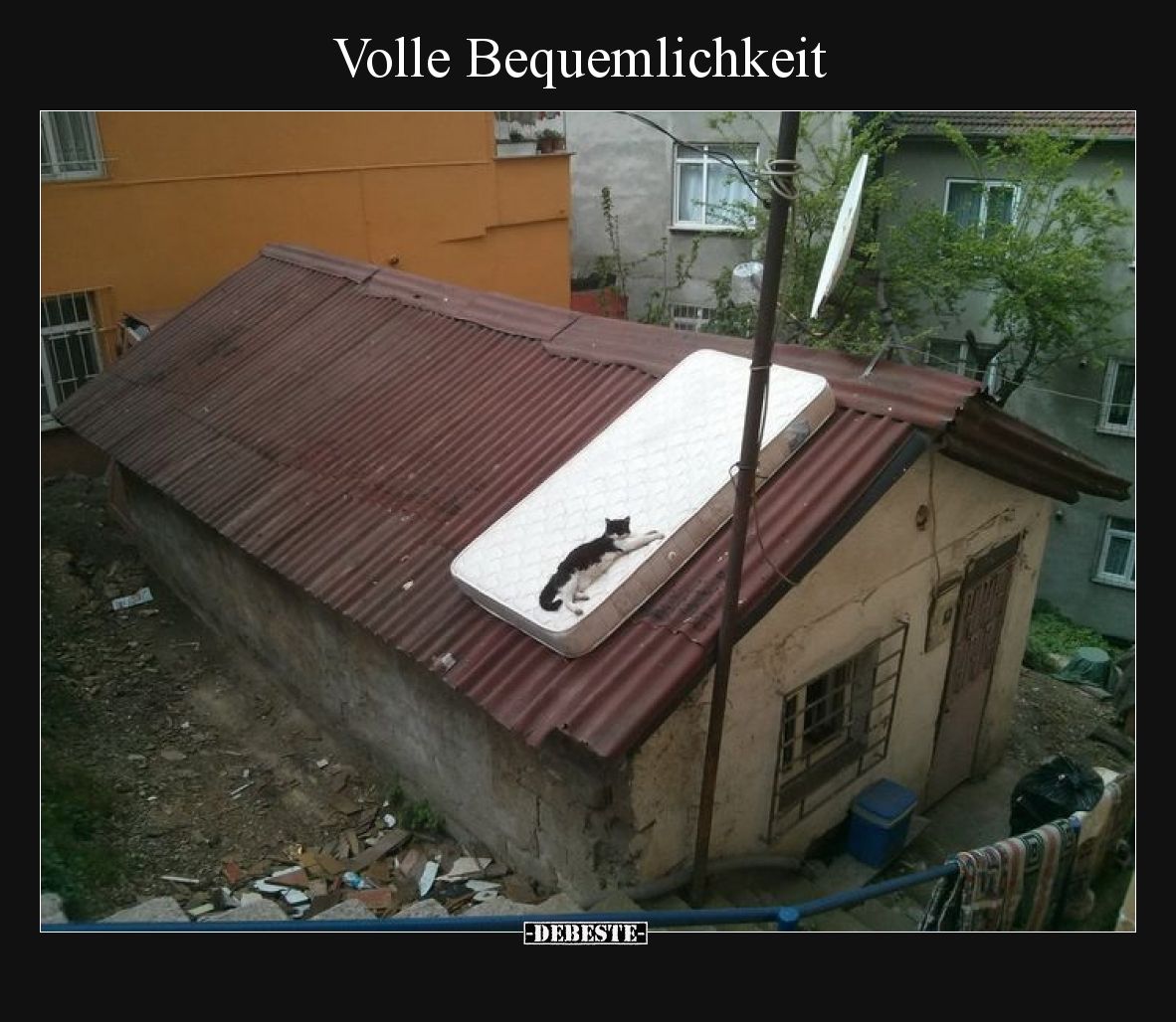 Volle Bequemlichkeit