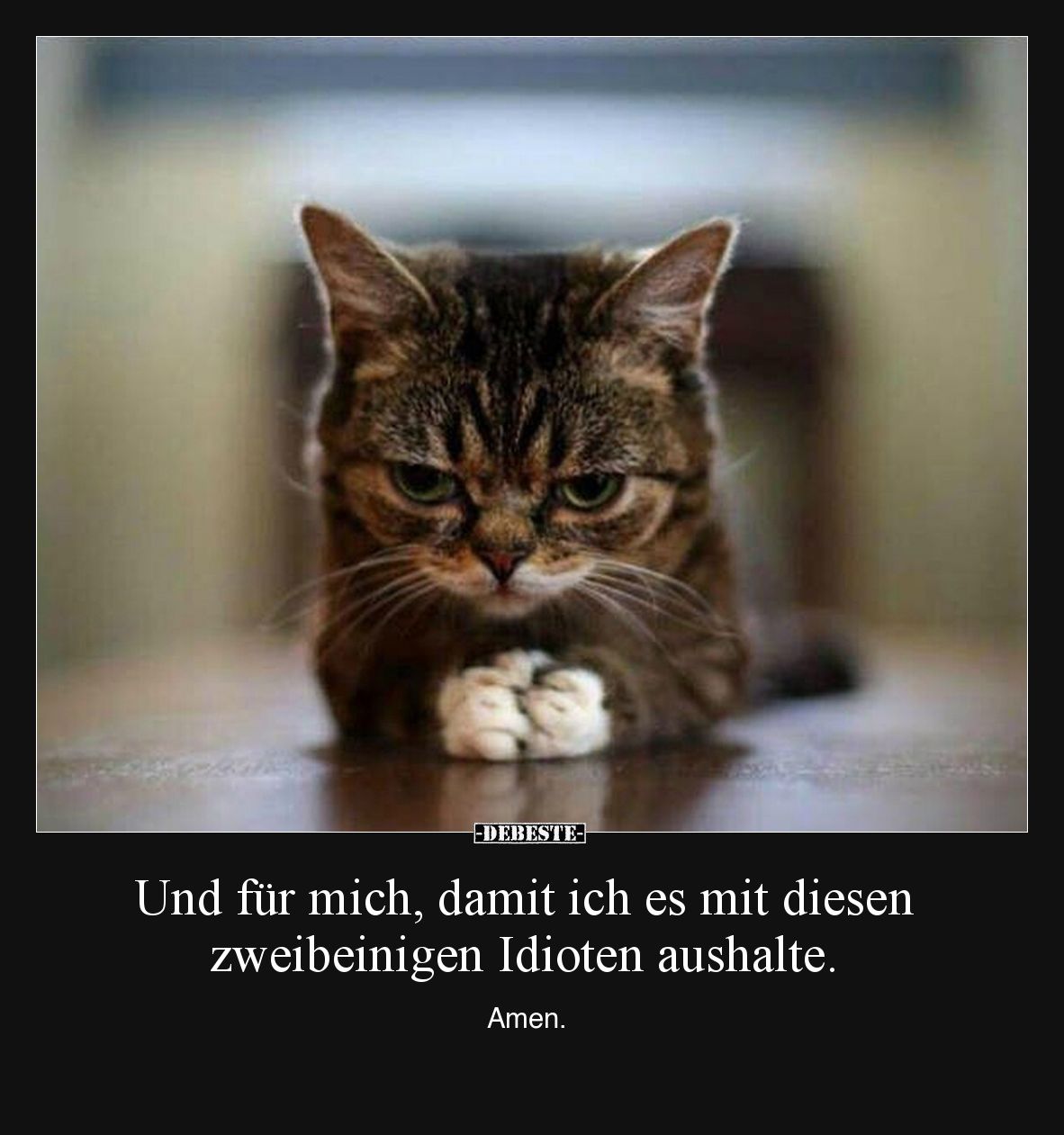 Und für mich, damit ich es mit diesen zweibeinigen.. - Lustige Bilder | DEBESTE.de
