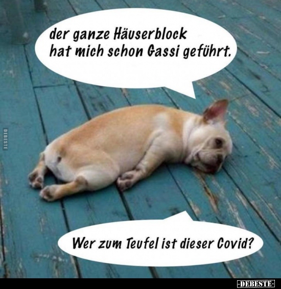Der ganze Häuserblock hat mich schon Gassi geführt... - Lustige Bilder | DEBESTE.de