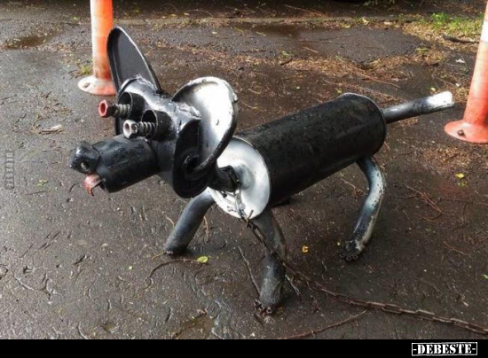  - Lustige Bilder | DEBESTE.de