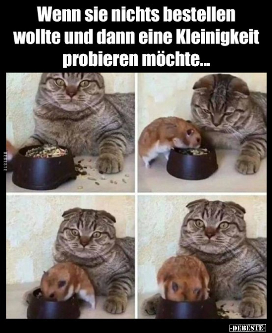 Wenn sie nichts bestellen wollte und dann eine Kleinigkeit..