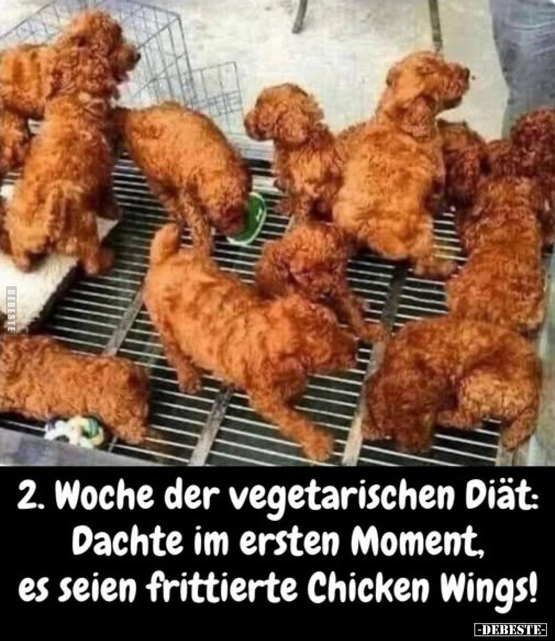2. Woche der vegetarischen Diät: Dachte im ersten Moment, es seien frittierte Chicken Wings!