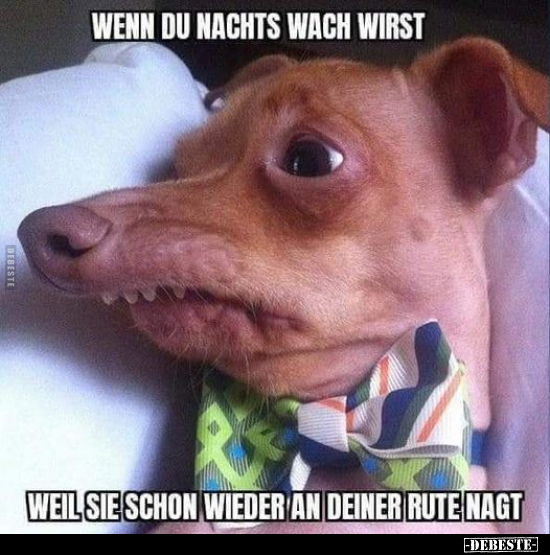 Wenn du nachts wach wirst.. - Lustige Bilder | DEBESTE.de