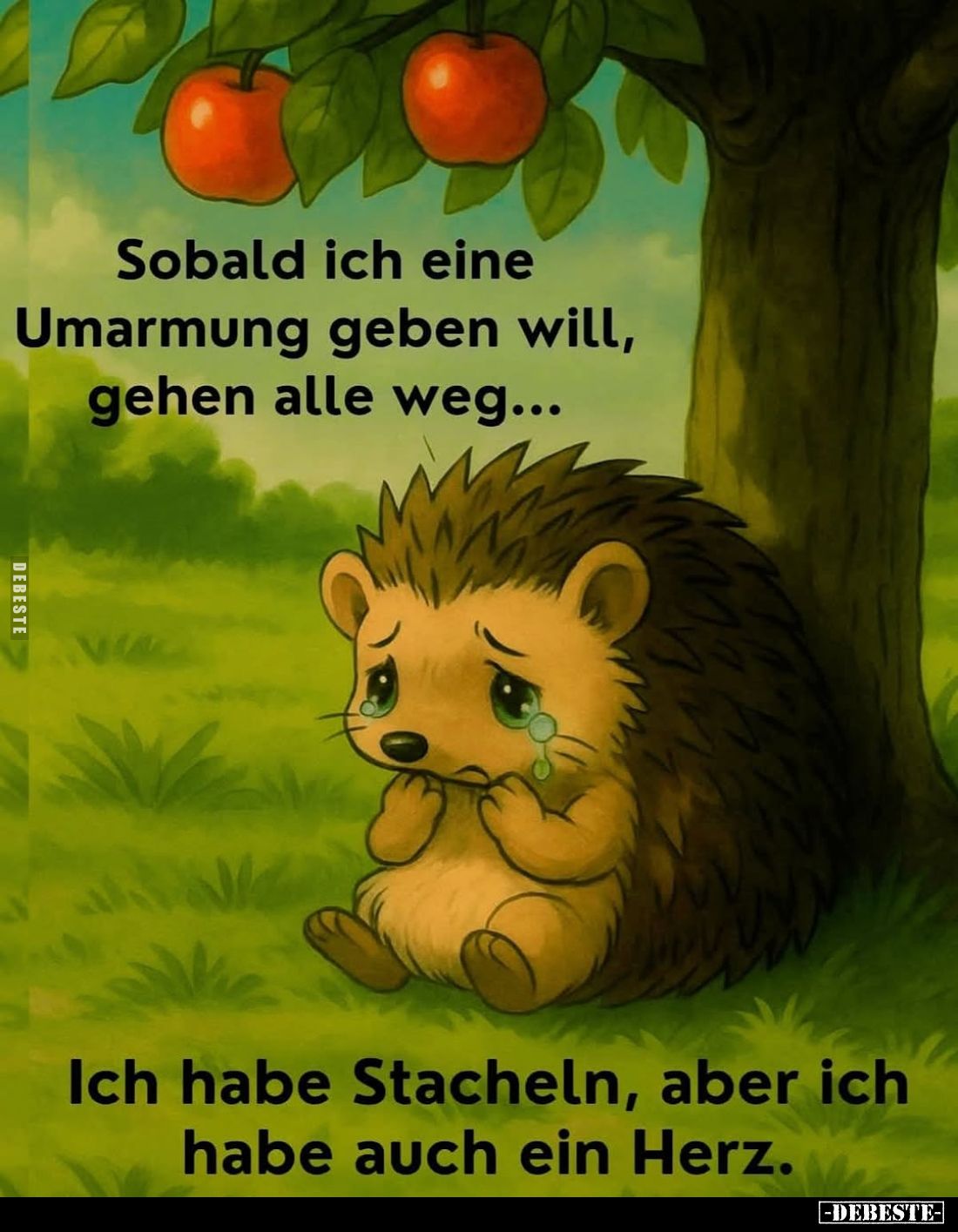 Sobald ich eine Umarmung geben will, gehen alle weg...
Ich habe Stacheln, aber ich habe auch ein Herz.