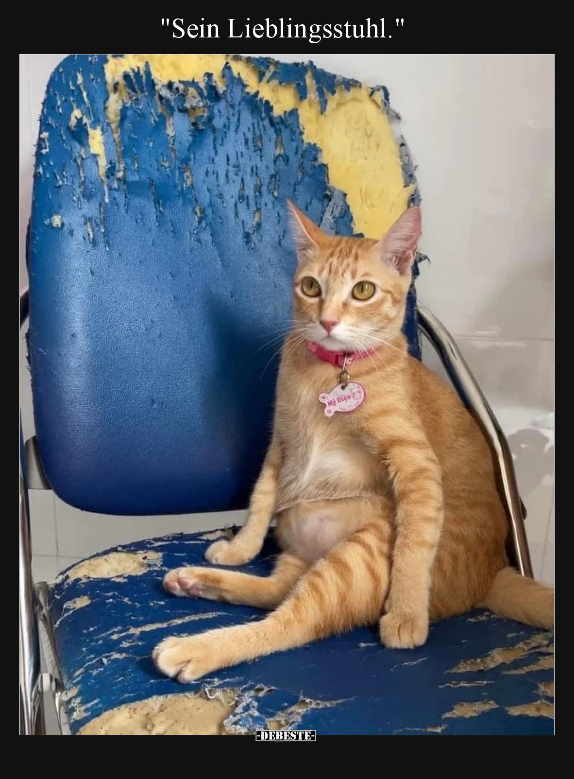 Sein Lieblingsstuhl