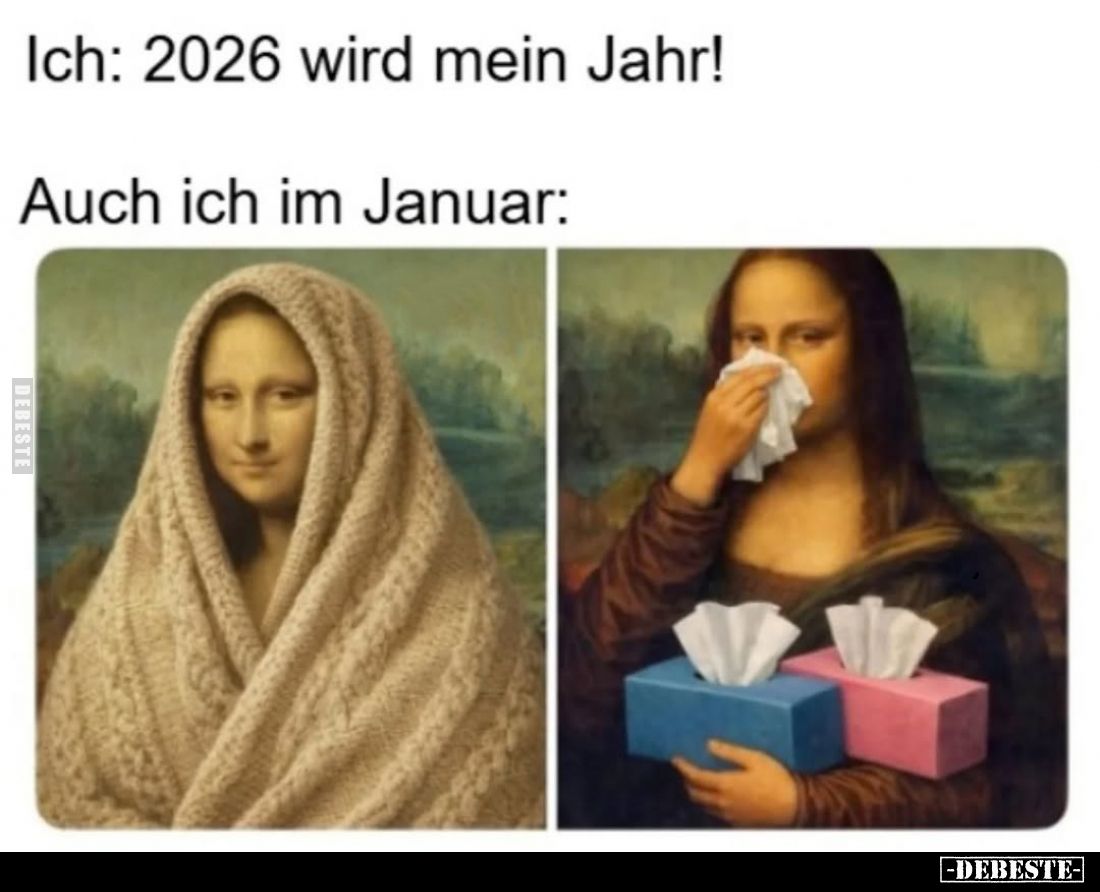 Ich: 2026 wird mein Jahr! -
Auch ich im Januar: