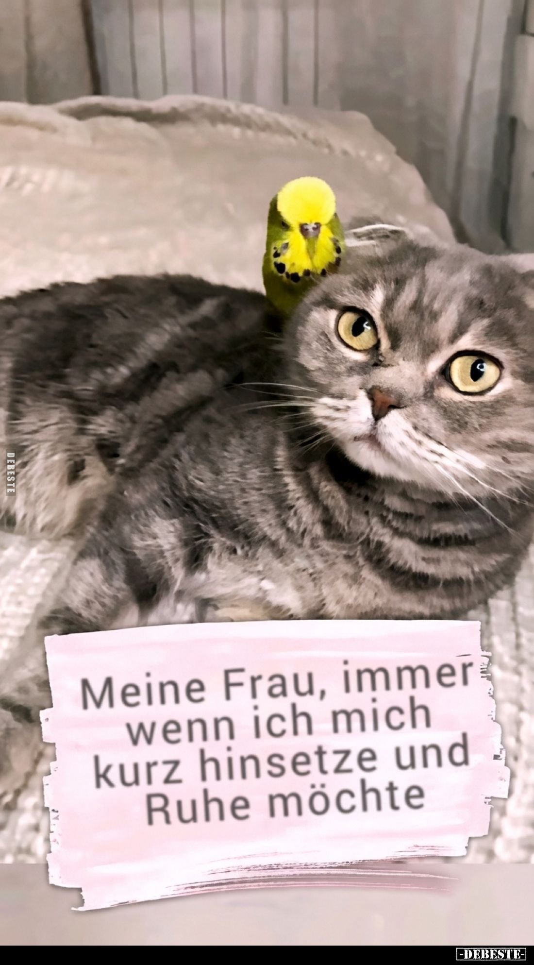 Meine Frau, immer wenn ich mich kurz hinsetze und Ruhe möchte