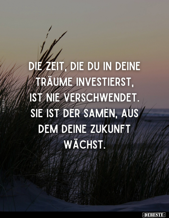 Die Zeit, die du in deine Träume investierst, ist nie.. - Lustige Bilder | DEBESTE.de