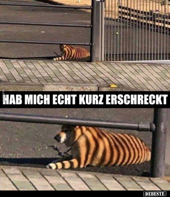 Hab mich echt kurz erschreckt... - Lustige Bilder | DEBESTE.de
