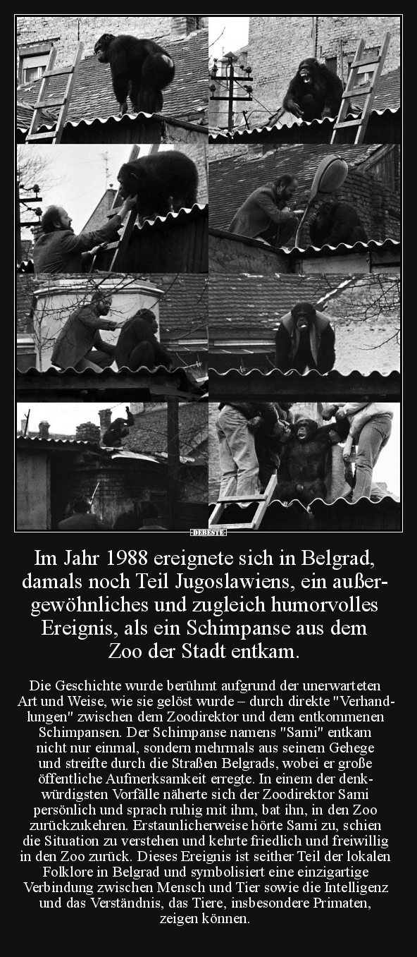 Im Jahr 1988 ereignete sich in Belgrad.. - Lustige Bilder | DEBESTE.de