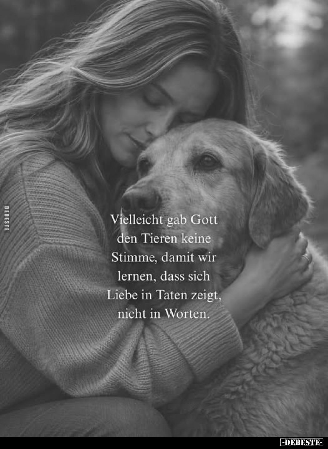 Vielleicht gab Gott den Tieren keine Stimme, damit wir lernen, dass sich Liebe in Taten zeigt, nicht in Worten.