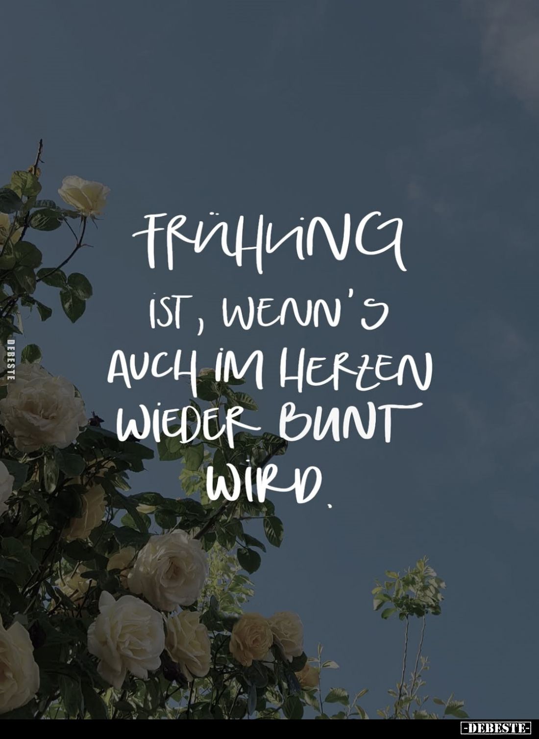 Frühling ist, wenn's auch im Herzen wieder bunt wird.