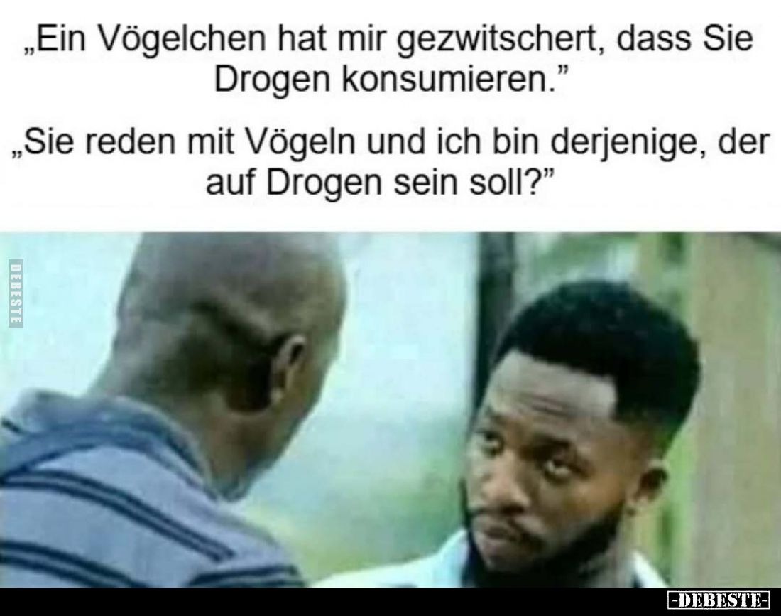 "Ein Vögelchen hat mir gezwitschert, dass Sie Drogen komsumieren.." - Lustige Bilder | DEBESTE.de