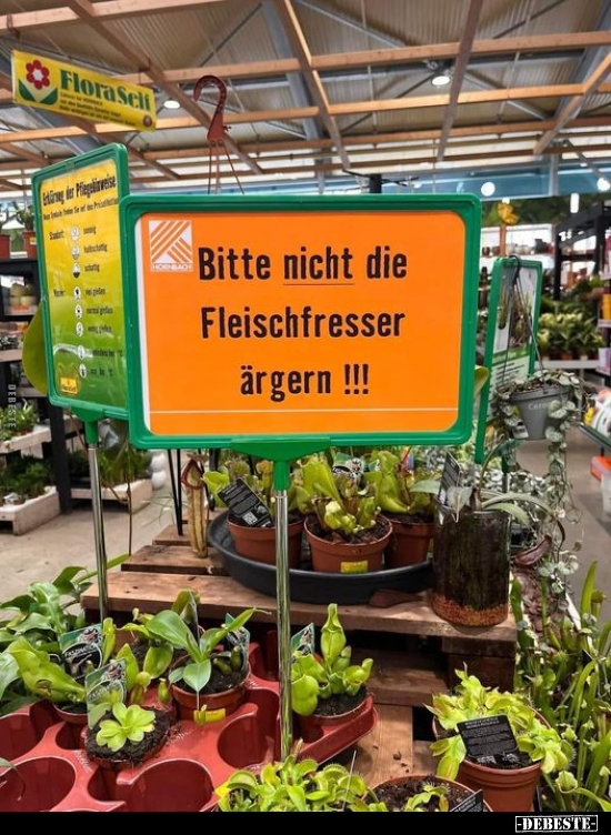 Bitte nicht die Fleischfresser ärgern !!!.. - Lustige Bilder | DEBESTE.de