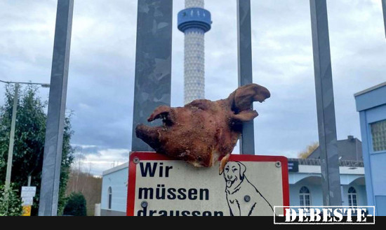  - Lustige Bilder | DEBESTE.de