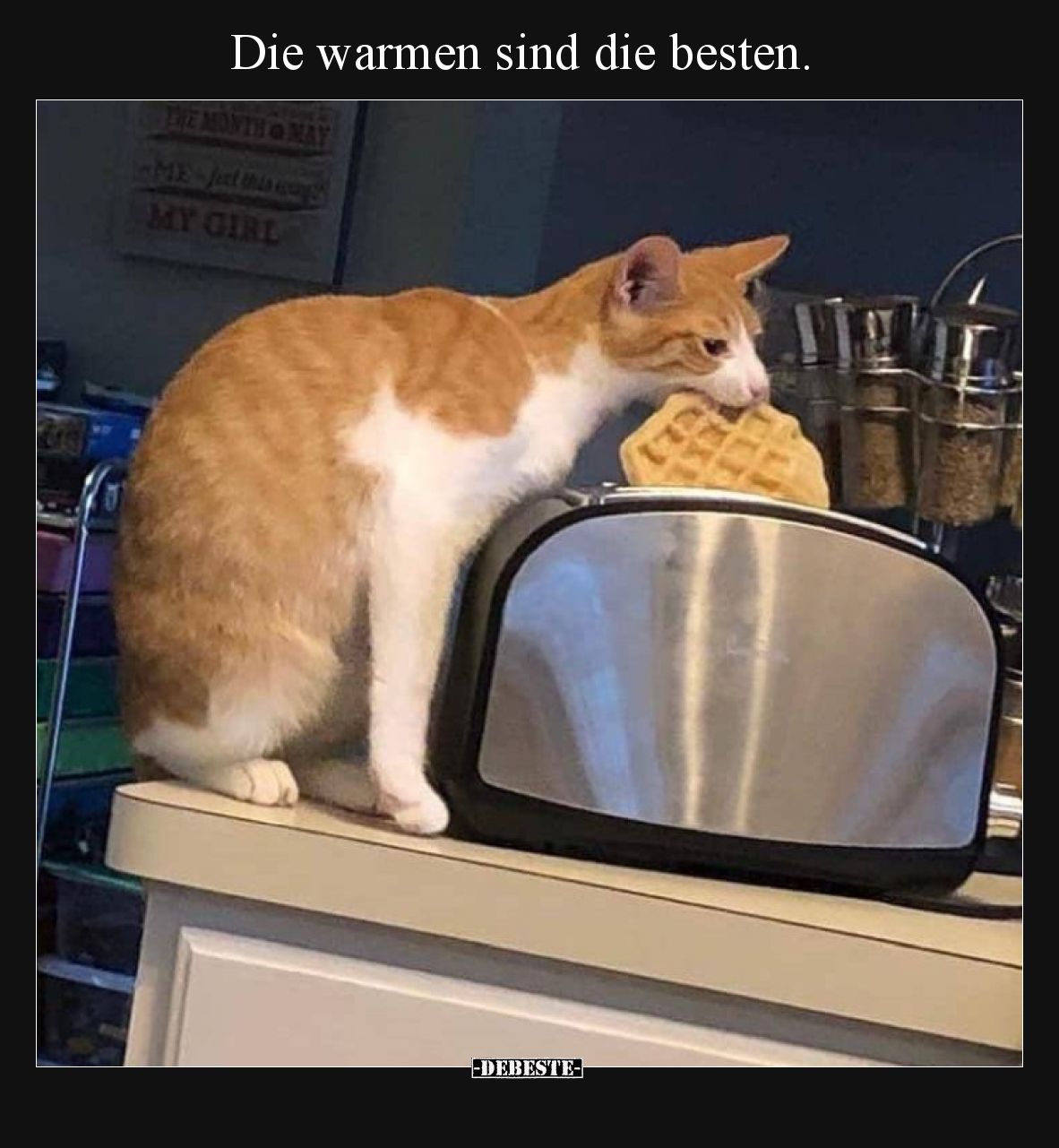 Die warmen sind die besten... - Lustige Bilder | DEBESTE.de